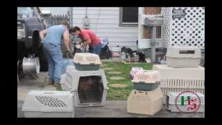 Uniontown house condemned after dozens animals found