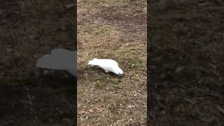 IMG 1937