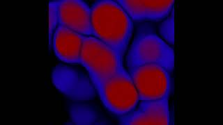 Cells 15