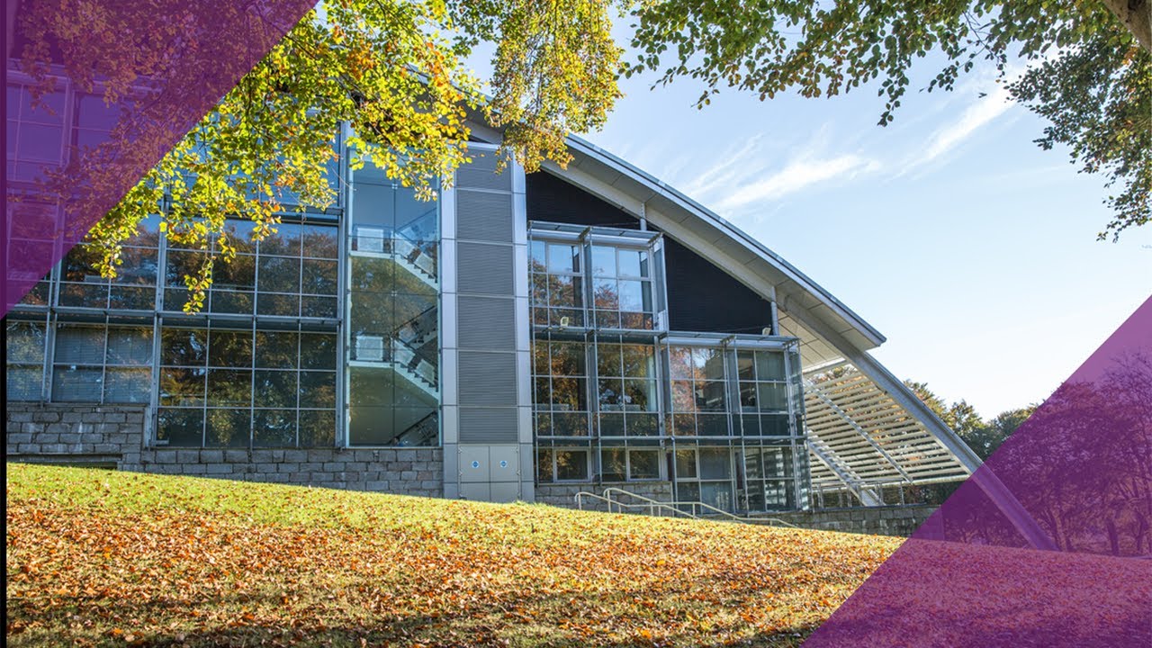 First steps to growing your business