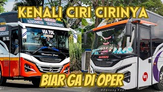 Ciri Ciri Bus Surabaya Trenggalek | Kenali Ciri Cirinya Biar Ga Dioper