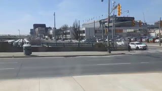 TTC Streetcar 10