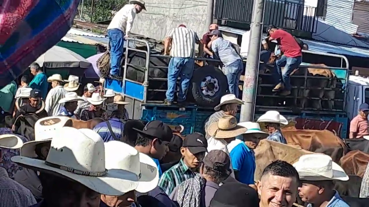 EN EL TIANGUE DE SAN RAFAEL CEDROS