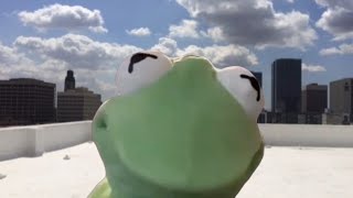 The Real Reason Kermit Fell Off The Building