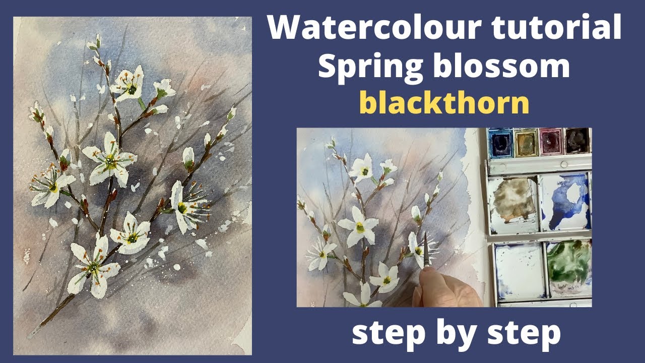 Watercolour tutorial, spring blossom : blackthorn.