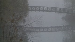 Farewell from the Porch: Fog