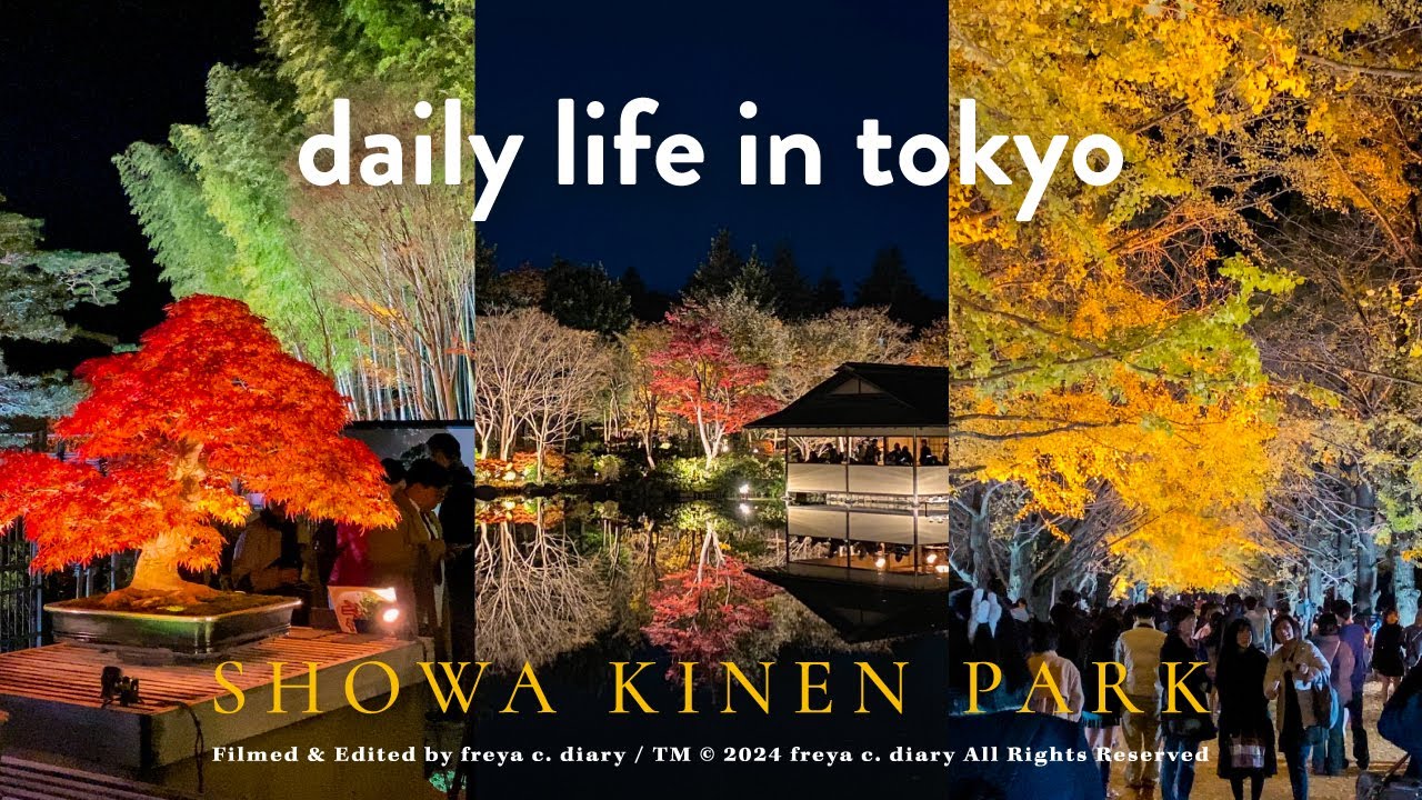 帶爸媽遊東京🍁長輩自由行 | 昭和紀念公園秋の夜散步🌙日本庭園絕美水中倒影、盆栽苑20周年夜間觀賞會、銀杏並木夜間點燈✨ | 老牌洋食屋漢堡排 | 豆大福御三家 | freya c. diary