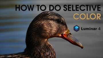 How to do Selective Color in LUMINAR 4 🎨
