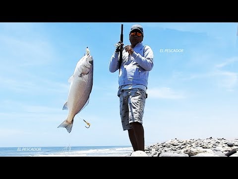 Pesca con caña 