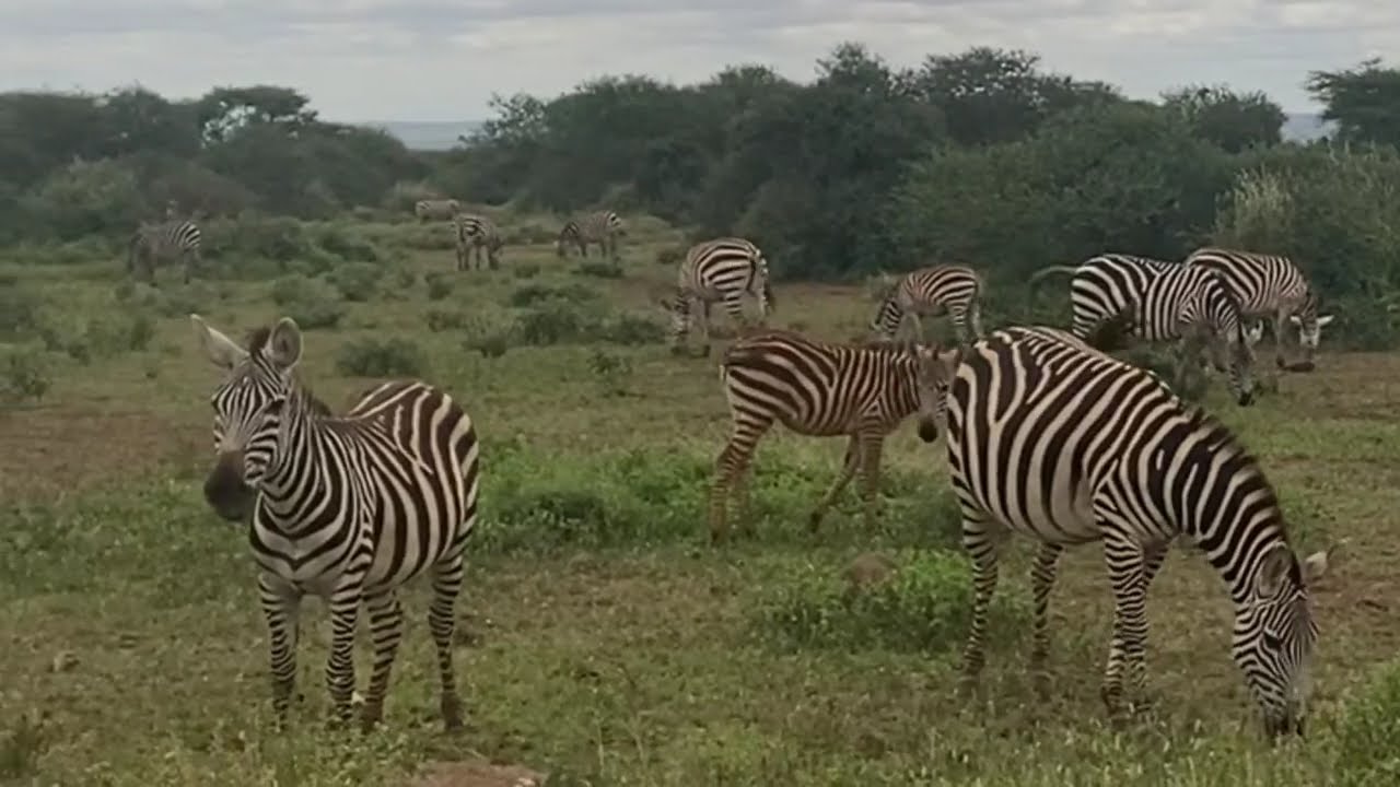 Aventuras no Quênia (Ep. I) – Sem Filtros & Vida Real