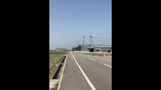 160系アリスト　JZS161