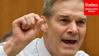 Famous 'This Is Now -- This Is As We Speak': Jim Jordan Argues For Gun Amendment Profile