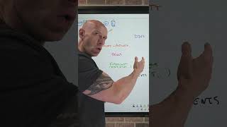 Work IQ Quick Overview #microsoft #microsoft365 #copilot
