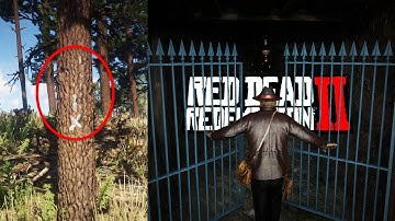 25 Secret Locations In Red Dead Redemption 2