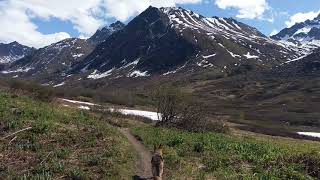 Gold Mint Trail, Hatcher Pass, Alaska