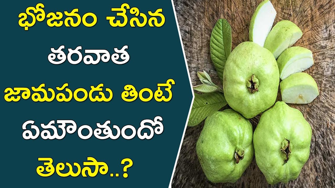 భోజనం చేసిన తరవాత జామపండు తింటే ఏమౌంతుందో తెలుసా..? || Health Benefits Of Eating Guava After Dinner glowing skin captions