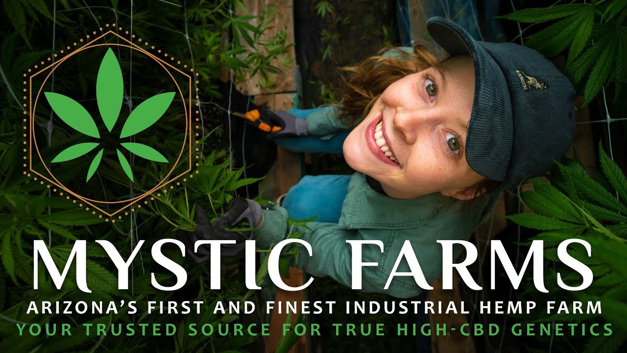 Mystic Farms — Your Trusted Source For True HighCBD YouTube
