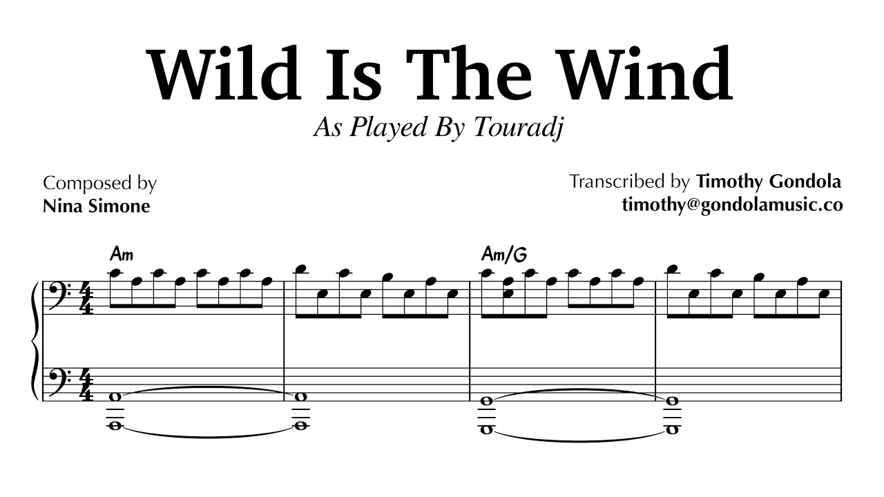 Wild Is The Wind by Nina Simone (played by Touradj)