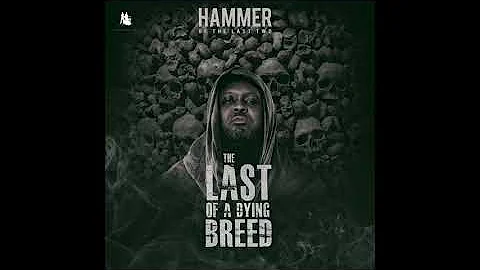 Hammer of The Last Two- Ye Da Wase (Outro) (feat. Sarkodie, Edem, Obrafour, Tinny, Kwaw Kese)