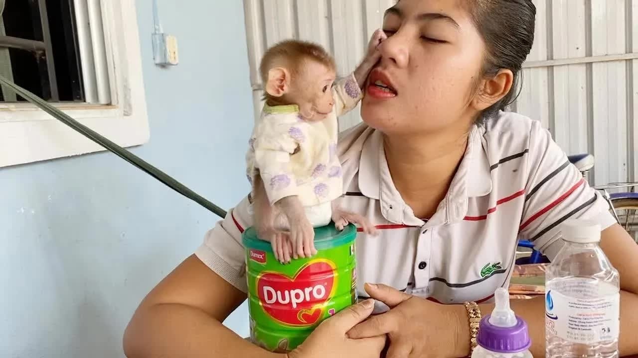 Funny DAM Drag His Mom's Nose So Strong After Feed Him