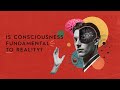 Philip Goff on why consciousness may be fundamental to reality