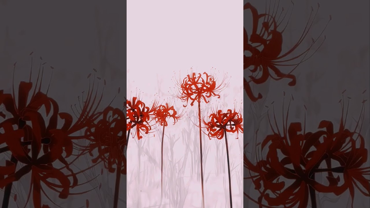 Desolate 💙 #anime #animeedit #edit #tokyoghoulamv #viralshort #feed