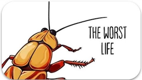 Why it sucks to be like a cockroach 
