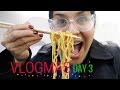 VLOGMAS DAY 3, 2017 |  I ❤️ Chicken Chow Mein 🍜  |  Flight Attendant Life