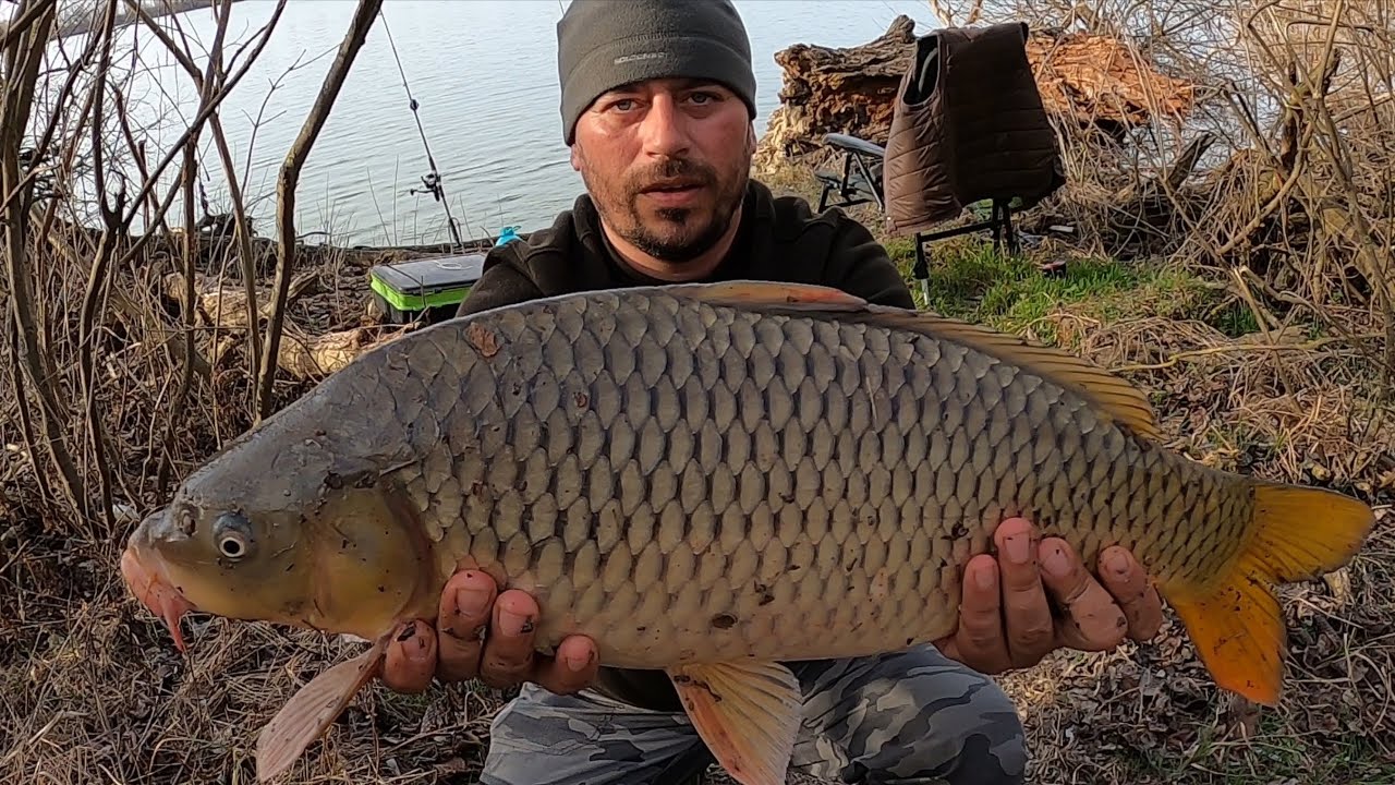 Crapi de primăvară pe brațul Chilia împreună cu Aurică și Maxx ‪1/2 🐟🎣 @ArmytekInc @NomadRo