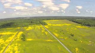 Mercer Meadows from above