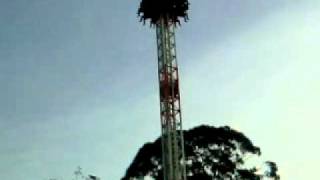 MEGA-DROP COMFAMA