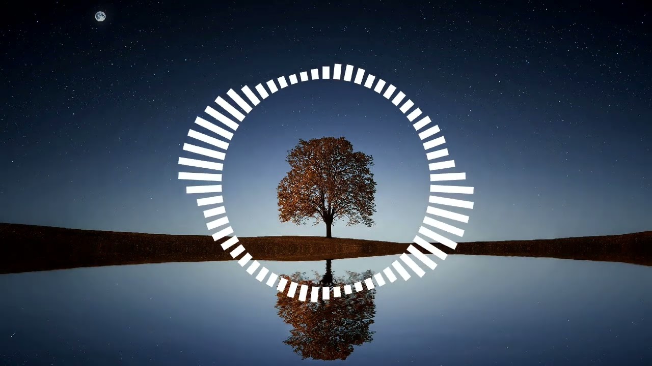 Nicolae Guta - Hai Lasa-ma - ( Remix )