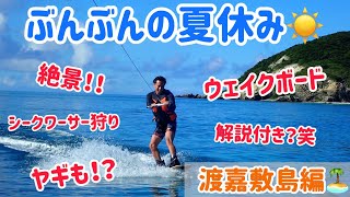 特別編❗️】「ぶんぶんの夏休み🐝渡嘉敷島編🏝」ウェイクボードに