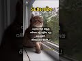 Much needed information … ❤️🩹🤍 #shorts #viral #video #viralvideo #love #bestfriend