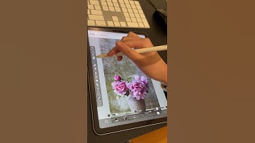 IbisPaint is better than Procreate?? 3 reasons why