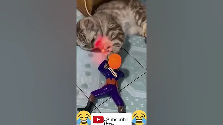 Video 4871301: draw cute baby cat, cute baby cat born, cat cute funny baby