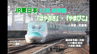 【東北新幹線】E5系 『はやぶさ』・『やまびこ』　大宮駅 (到着集)　(U38編成) 回送 (通過)　(2023年3月10日撮影)