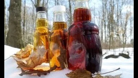 Кленовый сок,лечебные свойства.
