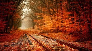 Best Piano Instrumental Music and Nature Landscape - Soft Piano For Coffee & Tea Drinking [Herb] screenshot 5