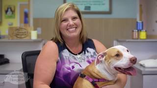 Dr. Ginger Benham - Northeast Animal Hospital by Northeast Animal Hospital 343 views 4 years ago 1 minute, 19 seconds