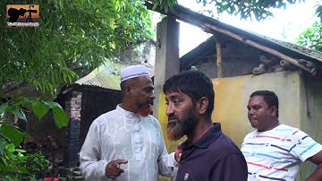 পরিত্যক্ত জলাশয়ে শোল মাছ  চাষ - snakehead fish feeding