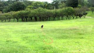 Nao 111002-2.AVI