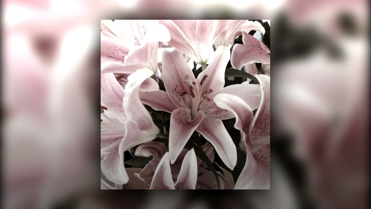 flume - never be like you ft. kai (sped up)