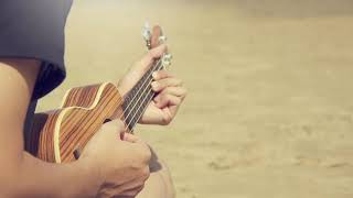 Ukulele music- No copy right music | Advertisement music | Vlog music | Royalty free music