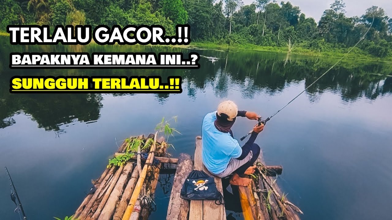 SPOT TERGACOR, SAMPE BAPAKNYA KALAH..!! 😂