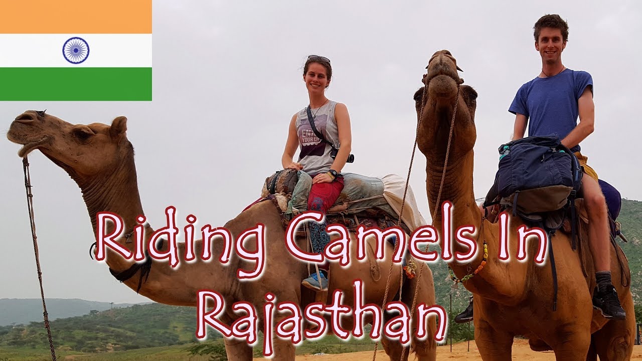 Riding Camels In Rajasthan Indian Camel Safari Youtube