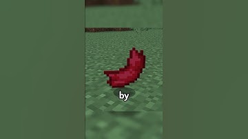 Mini Mod Reviews - Cloud Storage