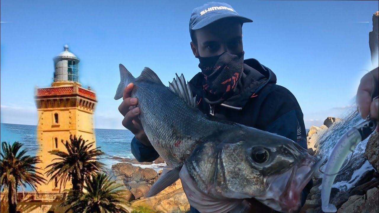 لحضة هجوم الدرعي🎣في أقدم منارة🗼بالمغرب🇲🇦كاب سبارطيل+طعم خطير🤩
