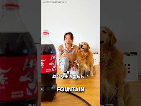 Mom's Special Experiment🤯😵‍💫 #usa #viral #shortvideo