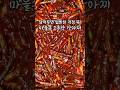 마늘쫑 고추장 장아찌, 이거 만들어 무조건 냉장고에 저장해두세요, 올여름 밑반찬 고민 해결됩니다